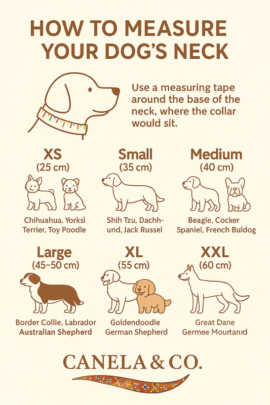 Azul y Amor (50cm) Hand Embroidered Leather Dog Collar