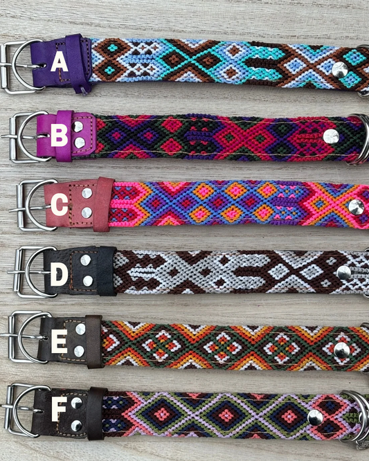 Large (50) Full Embroidered Leather Collars