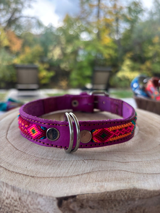 Rosita 40cm Hand Embroidered Leather Dog Collar