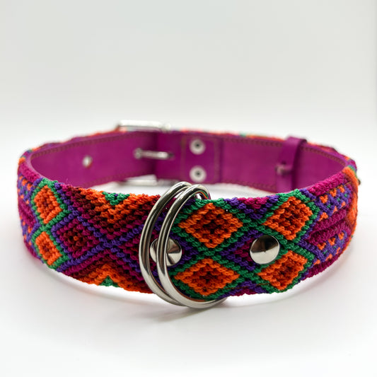 Pasión – XXL 60cm-Hand Embroidered Leather Dog Collar