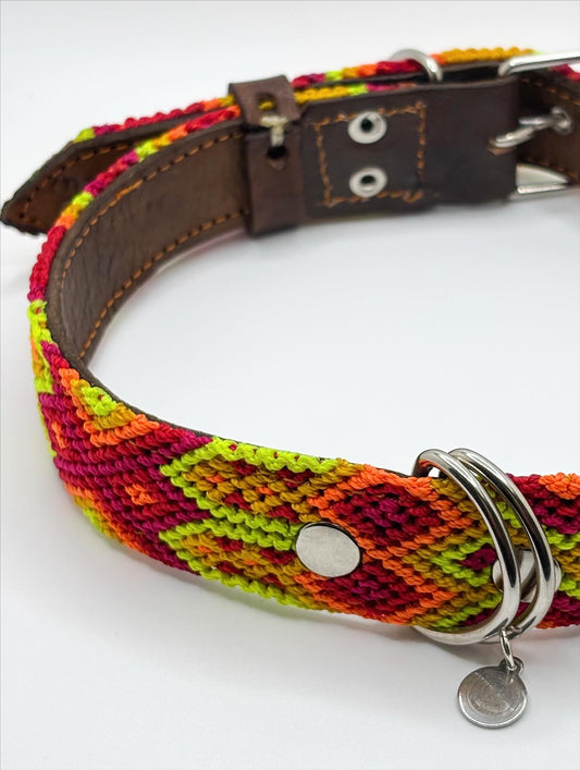 Pumpkin but Make It Spicy 🌶️ (50cm) Hand Embroidered Leather Dog Collar