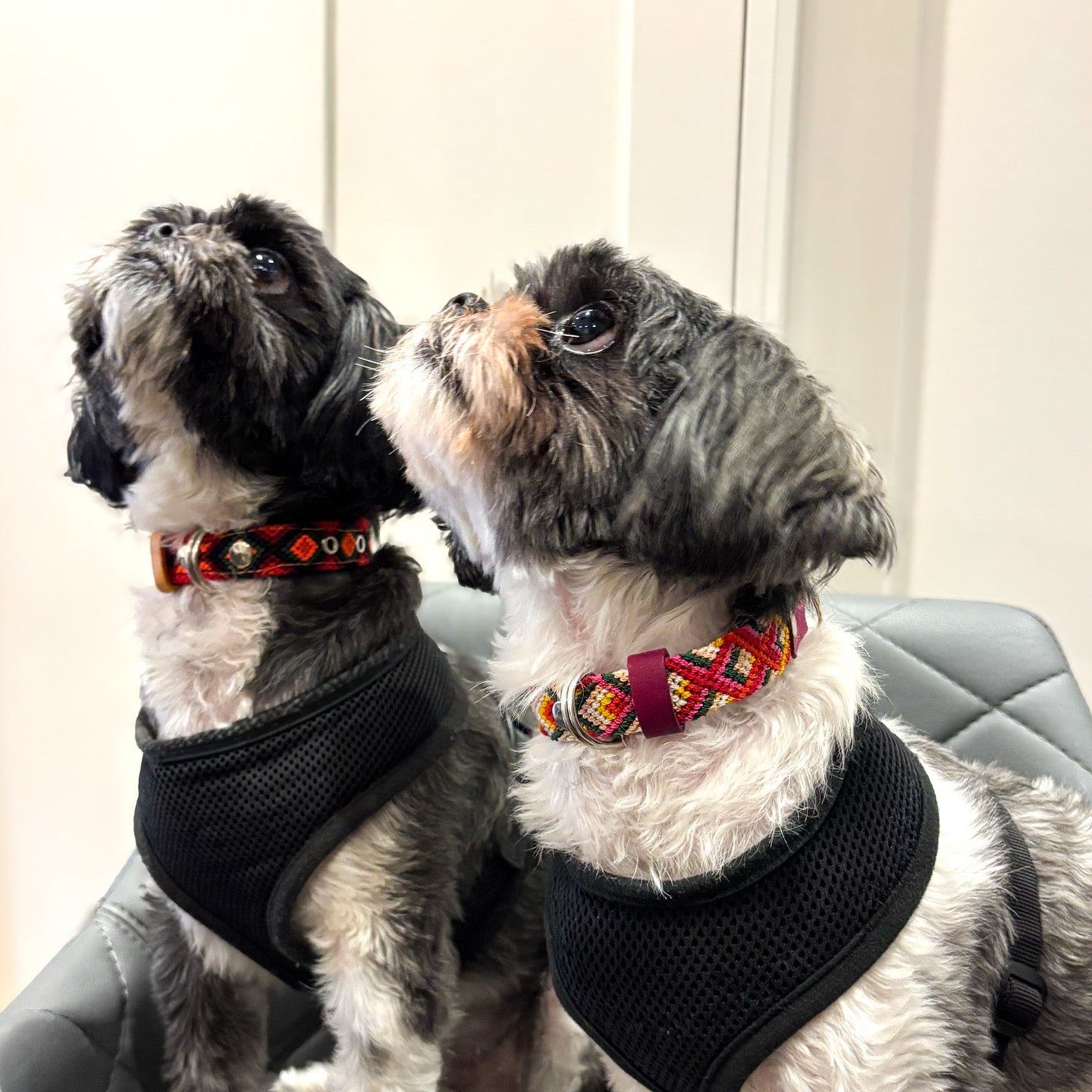 Small Plus (35cm) Full Embroidered Leather Collars