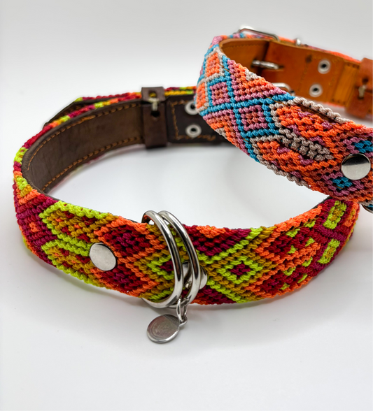 Pumpkin but Make It Spicy 🌶️ (50cm) Hand Embroidered Leather Dog Collar