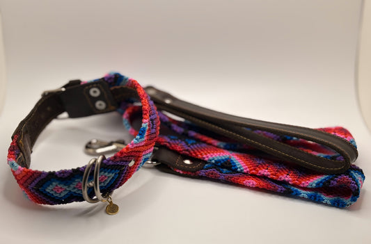 Leash (1m)- Hand Embroidered, Leather Handle