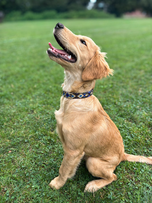 Laguna-Large (45cm) Hand Embroidered Leather Dog Collar
