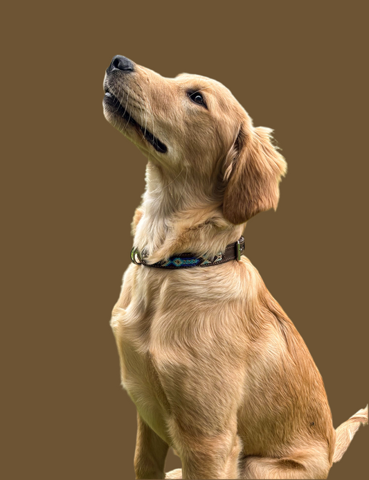 Noche Azul Large 45cm Hand Embroidered Leather Dog Collar