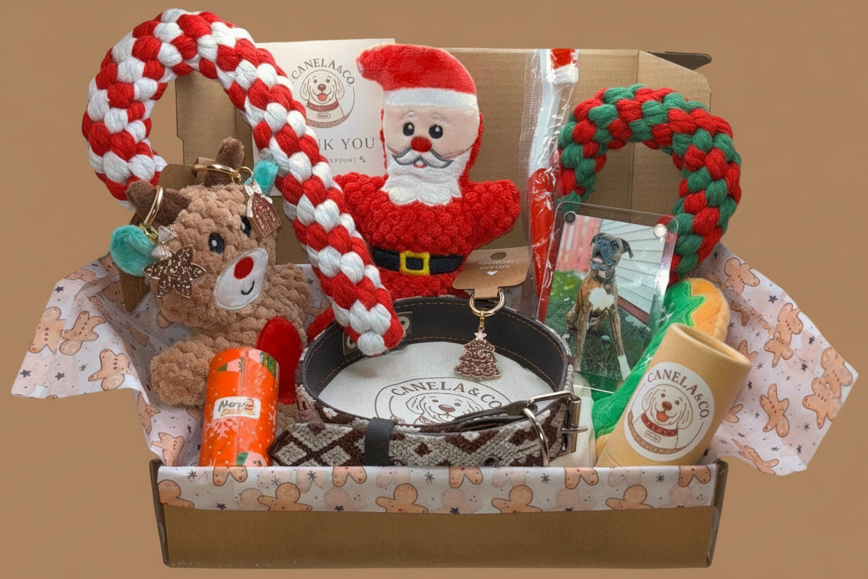 Canela's Christmas Box - Holiday Bundle