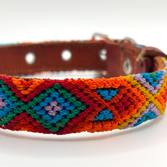 Fiesta-Small (35cm) Hand Embroidered Leather Dog Collar