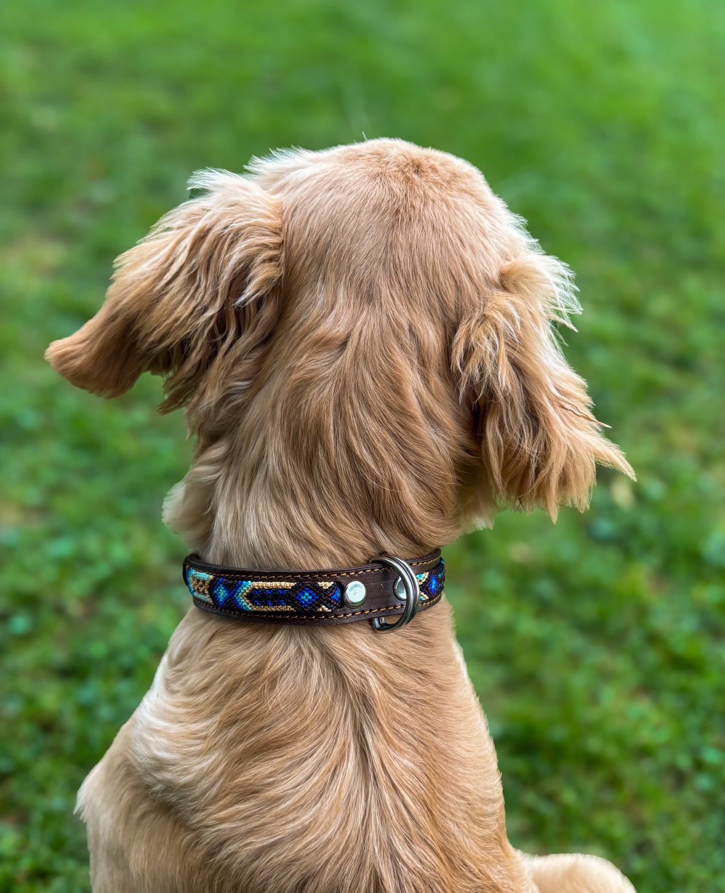 Noche Azul Large 45cm Hand Embroidered Leather Dog Collar
