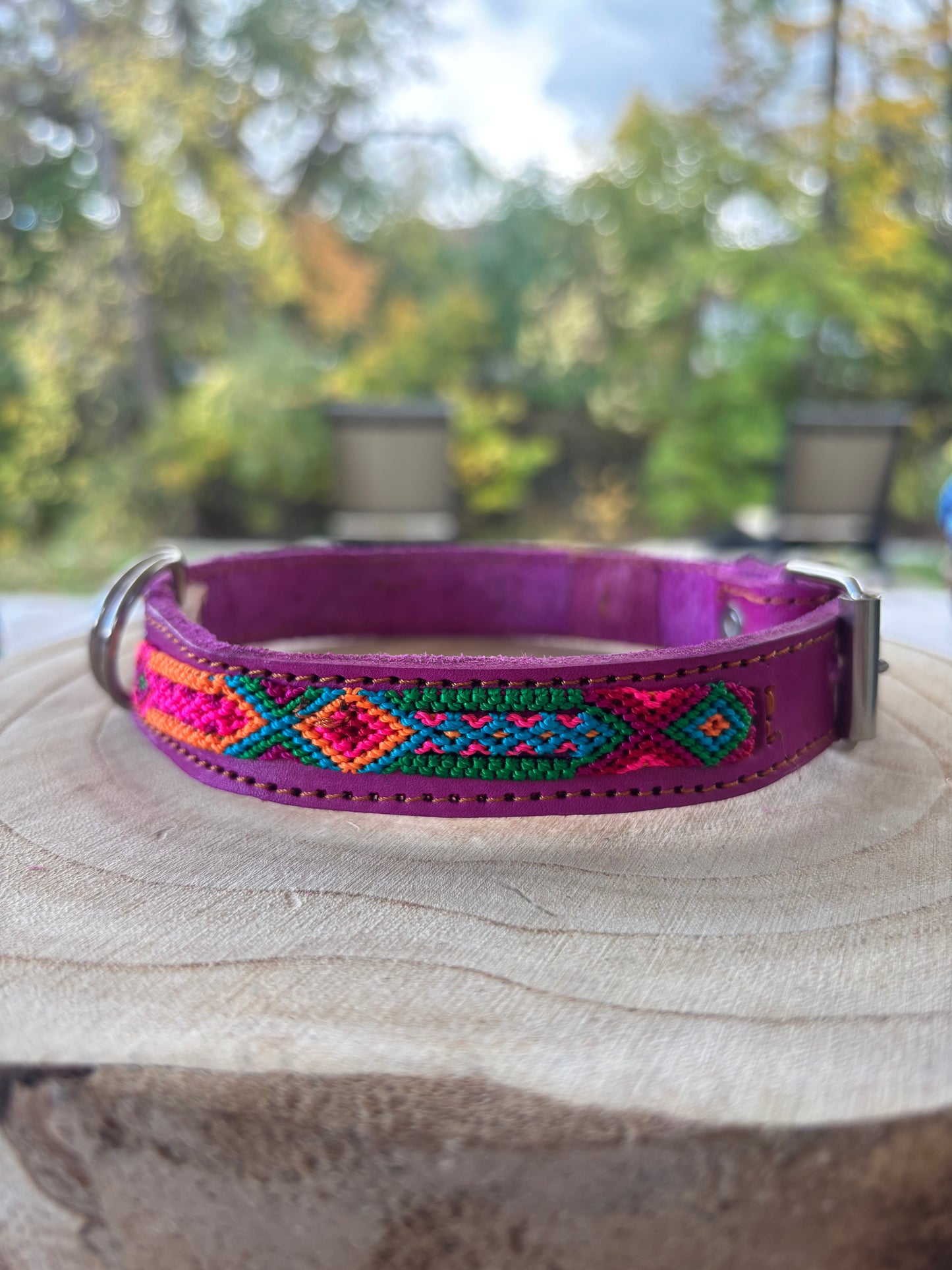 Rosita 40cm Hand Embroidered Leather Dog Collar