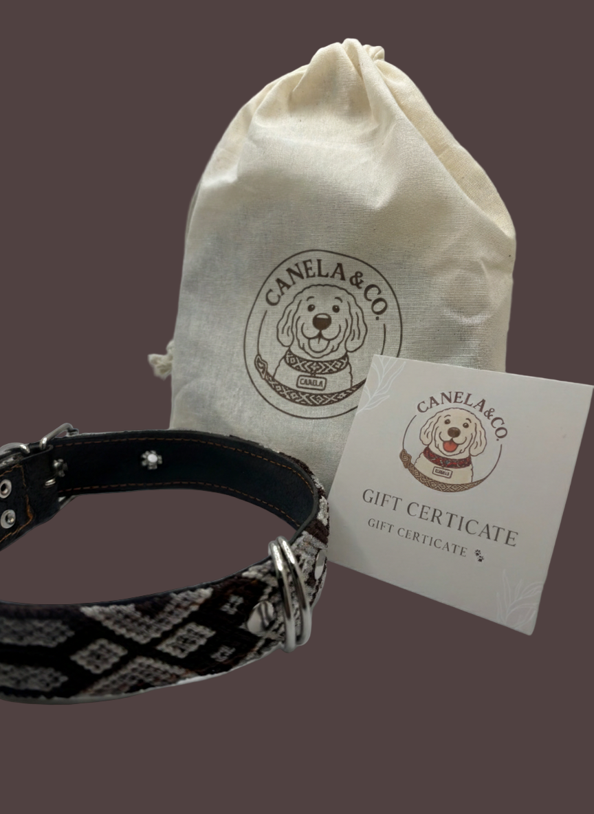 Canela's Christmas Box - Holiday Bundle