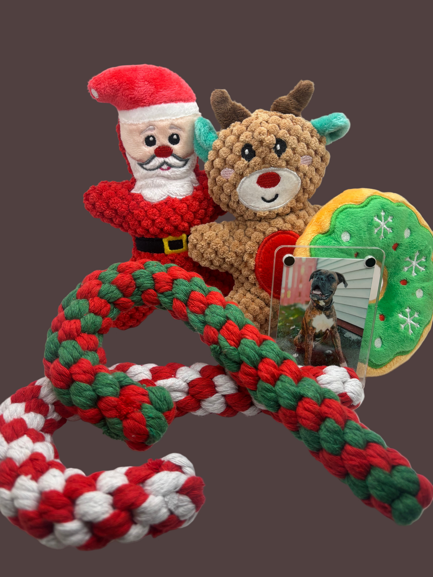 Canela's Christmas Box - Holiday Bundle