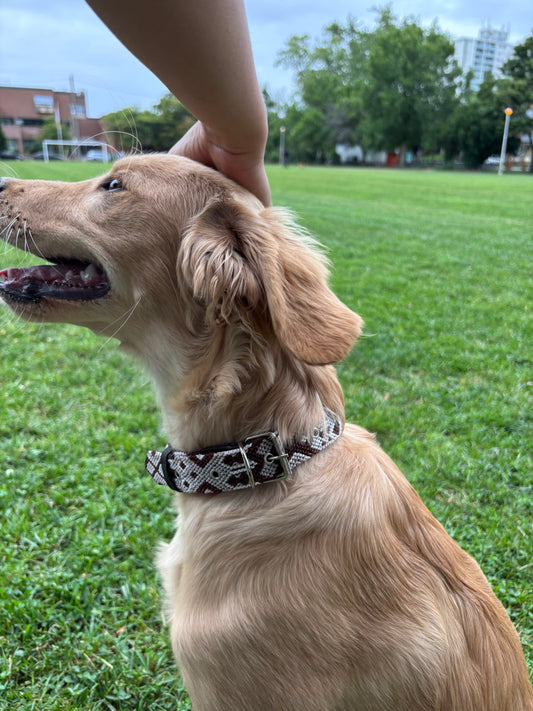 Café con leche-Large (50cm) Hand Embroidered Leather Dog Collar