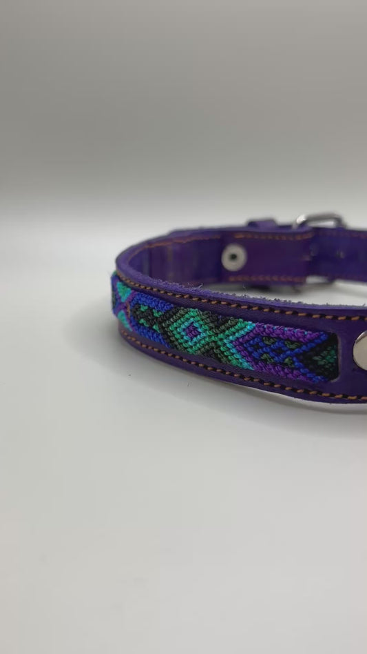 Amor azul Large 45cm  Leather Dog Collar