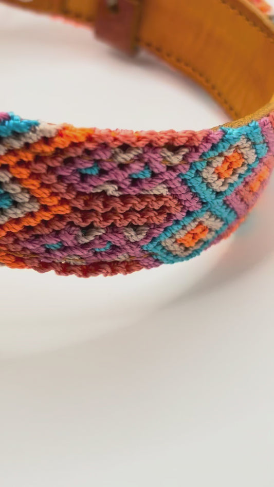 Pumpkin Dreams (50cm) Hand Embroidered Leather Dog Collar